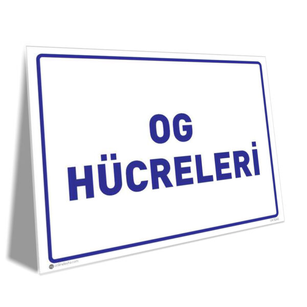 OG Hücreleri